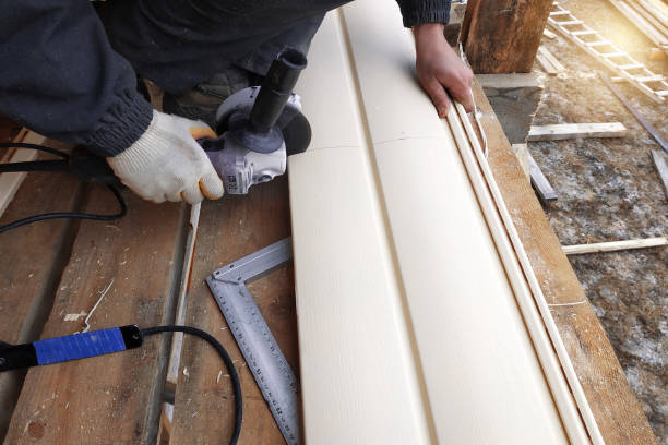 Best Custom Siding Design  in Dutch Island, GA