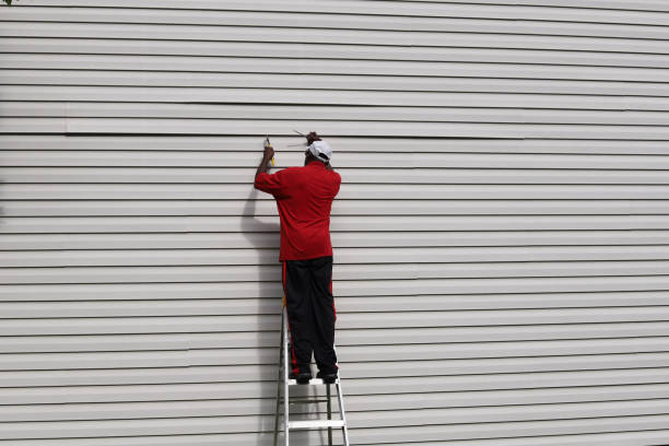 Best Vinyl Siding Installation  in Dutch Island, GA