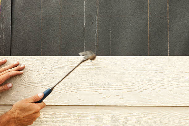 Professional Siding in Dutch Island, GA
